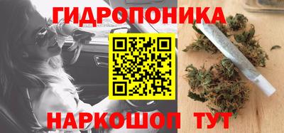 шишки Пенза
