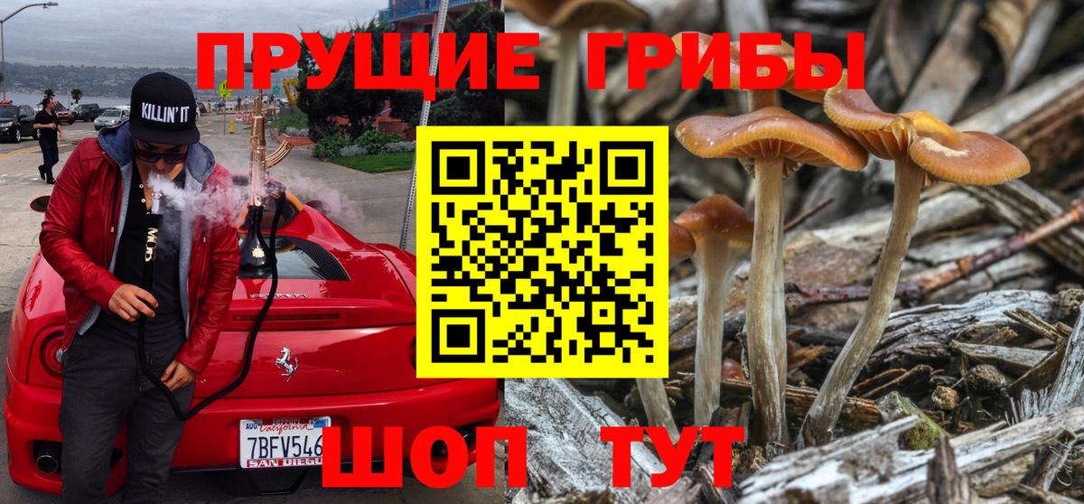 Галлюциногенные грибы прущие грибы Сергиев Посад