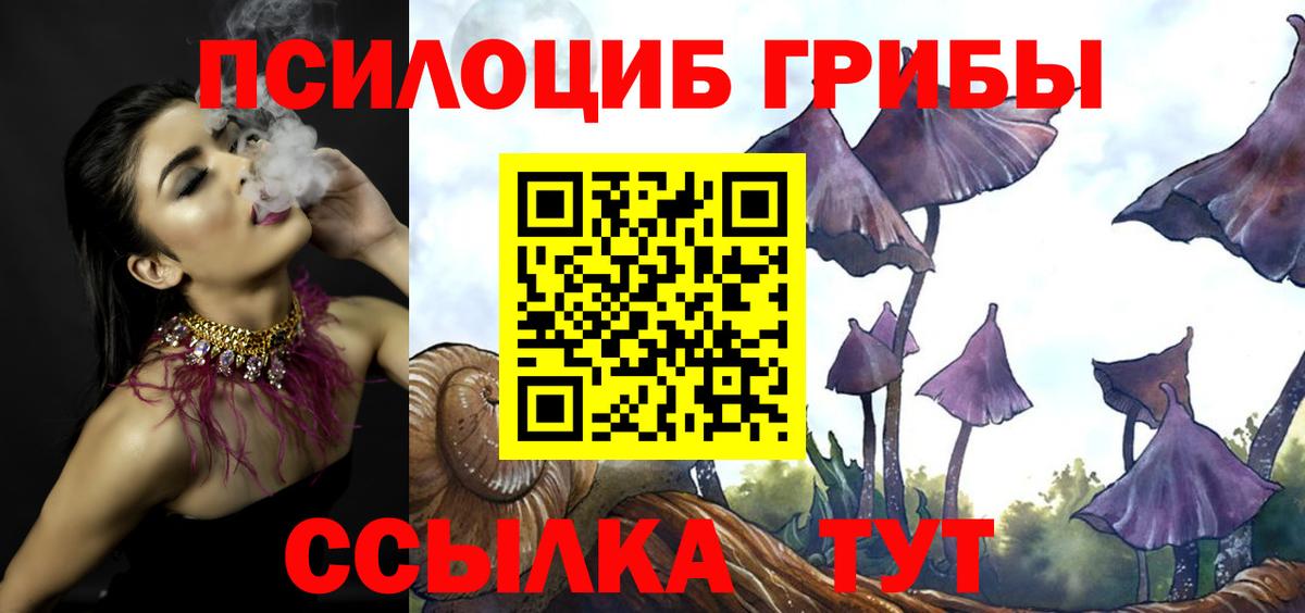 Сергиев Посад  Псилоцибиновые грибы прущие грибы  Вход с VPN 